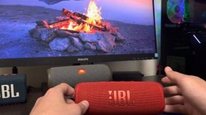 Версии JBL FLIP 6 - TL, GG, какая лучше??