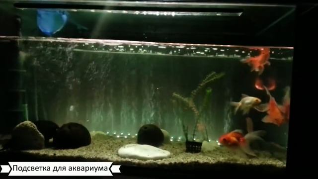 Светодиодная RGB лента смотреть онлайн