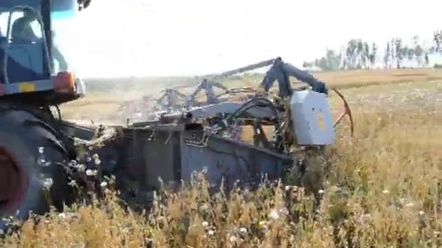 Новая Солянка (3).mp4 смотреть онлайн