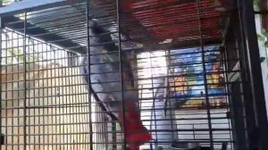 Ты скажи, ты скажи, чё те надо чё те надо ..