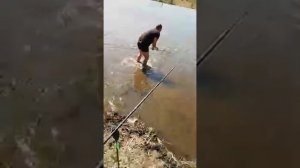 Ловля сазана на платнике в новошахтинске 2