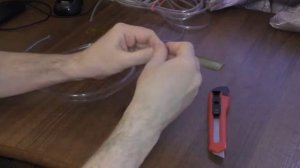 Режутся зубы котенка  Как зажитить провода от маленьких котят