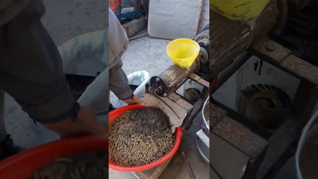 Шнековый гранулятор сделал сам смотреть онлайн