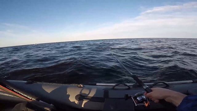 Выезд за судаком и щукой. Троллинг на Рыбинском водохранилище