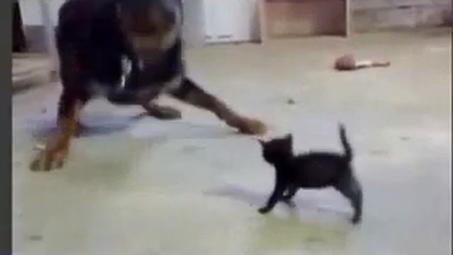 Уйди! Уйди противный! смотреть онлайн