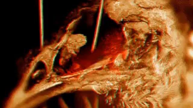 Ted's Story by Dave McKean and The Residents смотреть онлайн