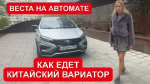 Лиса рулит - подборы, топ авто и советы