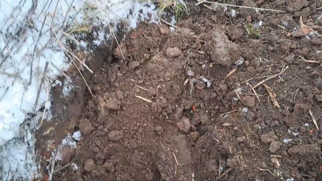 монеты с интроник смотреть онлайн