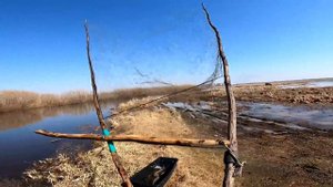 рыбалка на кривду