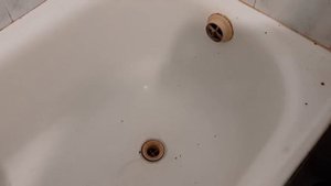 Как избавиться от сороконожек в доме