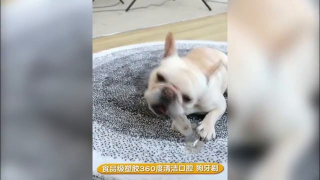 Подборка Топ лучших прибыльных бизнес идей с минимальным вложением. Бизнес Идеи. #бизнесидеи #бизне