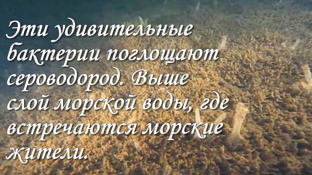Слоеное озеро-желе в России