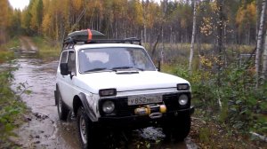 Проезжаем на Нивах два брода в Карелии, бобровая плотина  (Осударева дорога)