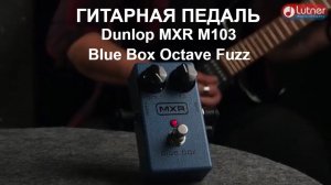 Гитарная педаль эффектов Dunlop MXR M103 Blue Box Octave Fuzz