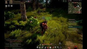 Black Desert - PvE гайд по скилам Гиганта (WalarTV)