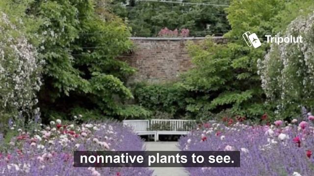 Things to do in Waterford, Ireland