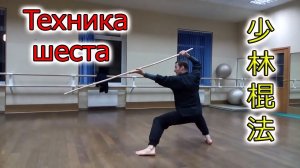 Техника шеста. Шаолинь Гунь Фа