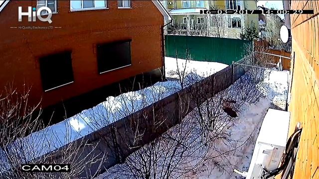 Уличная AHD камера HiQ, 2 mpx, серия Standart, объектив 2,8-12 мм, день смотреть онлайн