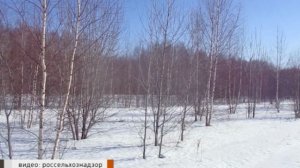 Россельхознадзор продолжает выявлять нарушения земельного законодательства в Костромской области
