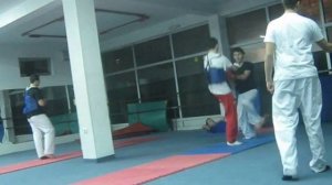 Taekwondo vs Kickbox