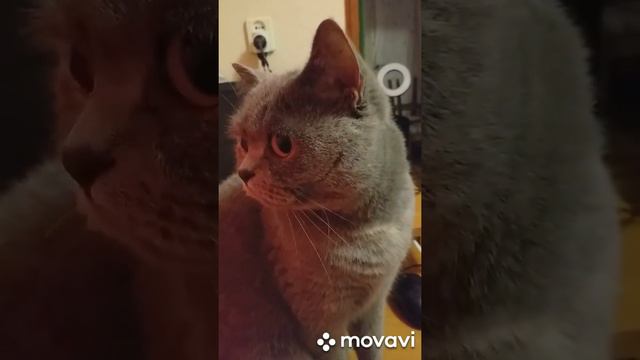 Надо посмотреть, чем ты здесь занимаешься. смотреть онлайн