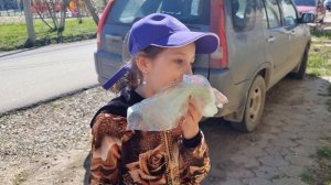 Медведь на дереве! Ника на роликах!