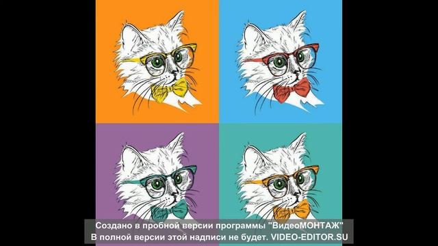 Котики в стиле поп арт смотреть онлайн
