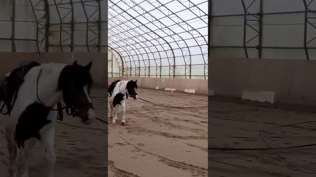Сегодня на тренировке. Серафима и Марик, Алена и Лунтик