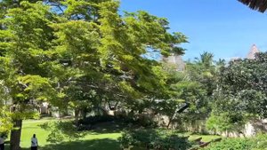 Секретный пляж в Кении, о котором мало кто слышал. ВЫПУСК 2-часть 1. Diani beach | Neptune village.