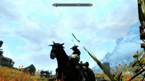 Elder Scrolls V  Skyrim - Knight's parade