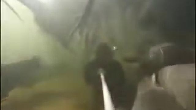 Сомы людоеды. смотреть онлайн