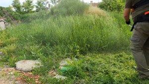 MAKITA EM4351UH epizod 1.