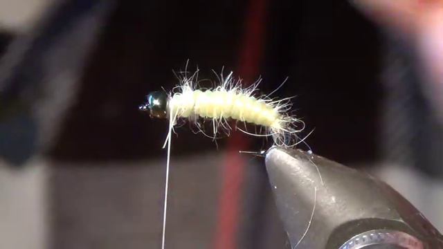 CADDIS PUPA VARIANT SVA смотреть онлайн