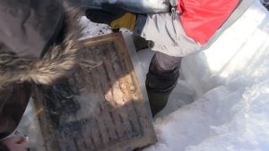 5 часть обзора работ с пчёлами зимой 11.03.2022 . Моё пчеловождение .