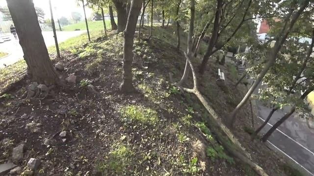 Прогулка по Старокиевской Горе. История контуженной летучей мыши) 9 октября 2020 г