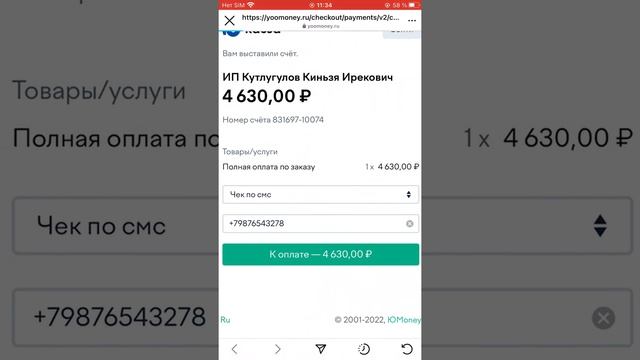 инструкция по полной оплате по ссылке в Директ смотреть онлайн