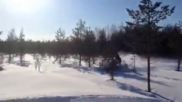 Lynx 5900 смотреть онлайн