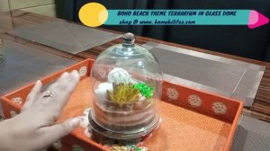 Boho Beach Theme Terrarium In Glass Dome- Full setup home hilites home decor collection by sonam