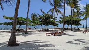 Vrclub paje palms beach resort. Обзор отеля, пляж Падже. Занзибар отель Vrclub paje palms beach.