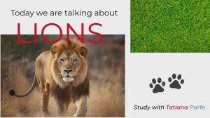Study English with Tatiana Parfe. Episode 4: Lions