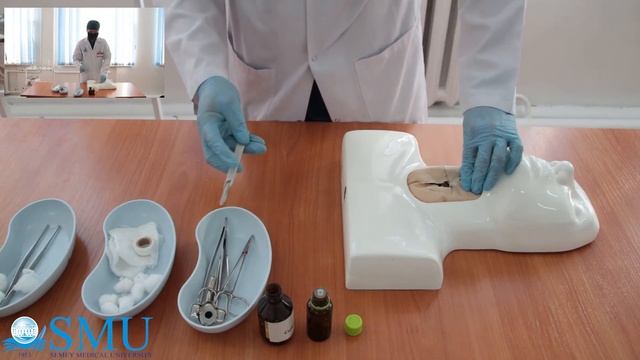 Коникотомия смотреть онлайн