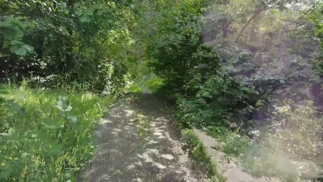 Чужая моя судьба. Жизнеутверждающие истории