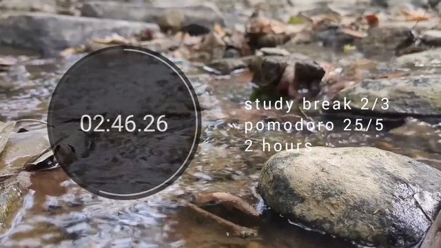 2 HOUR STUDY WITH ME | chill lofi playlist | pomodoro 25/5