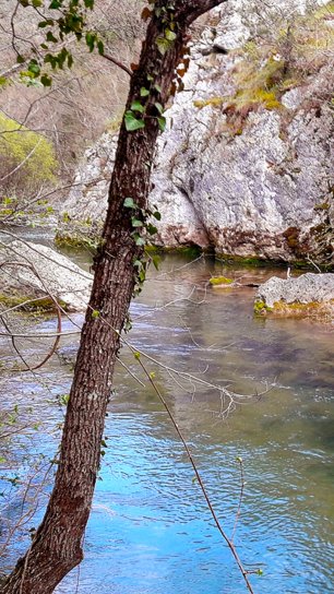 Чернореченский каньон. Поток.