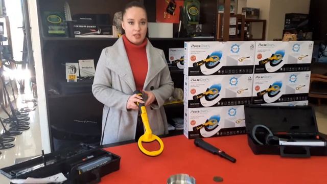 PULSEDIVE SCUBA DETEKTOR & POINTER nga Nokta Makro!!! смотреть онлайн