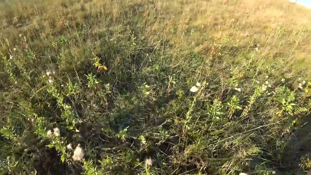 Этот маленький пруд в поле таит в себе много Щуки!! Рыбалка на спиннинг. смотреть онлайн