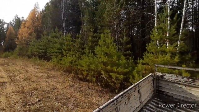 ЗАГОТАВЛИВАЮ ДРОВА ОДИН!!! НИ КТО НЕ ХОЧЕТ РАБОТАТЬ!!! смотреть онлайн