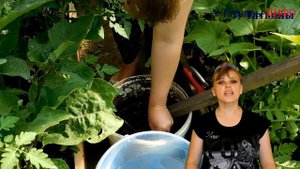 СЕКРЕТЫ выращивания БАКЛАЖАНОВ! Удобрение /подкормка/ для баклажанов.