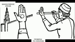 Проверка бинокулярного зрения по Соколову