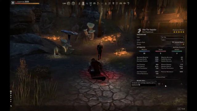 ESO - Magicka Nightblade RP PVE Build - Thorn Legion Vampire смотреть онлайн